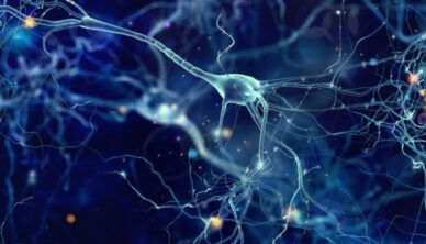Motor Neurone Disease